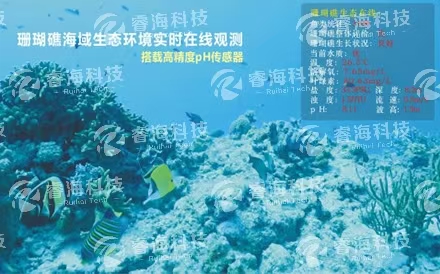 海洋觀(guān)測(cè)系統(tǒng)：水下波浪在線(xiàn)觀(guān)測(cè)系統(tǒng)